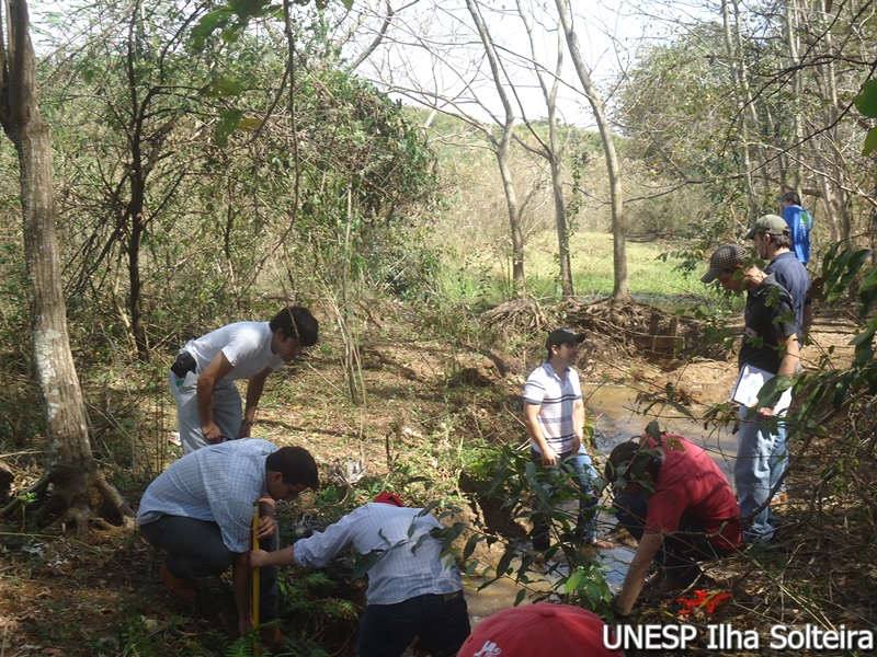 2_set_2013_ahi (42).JPG